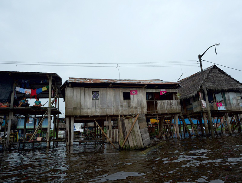 dbperu iquitos peru